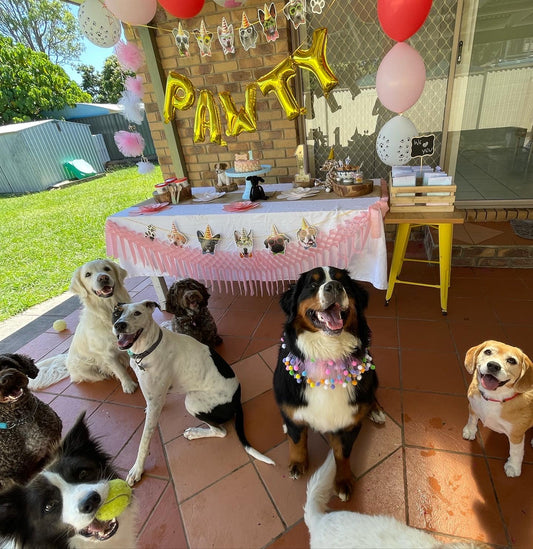 Super Pawty